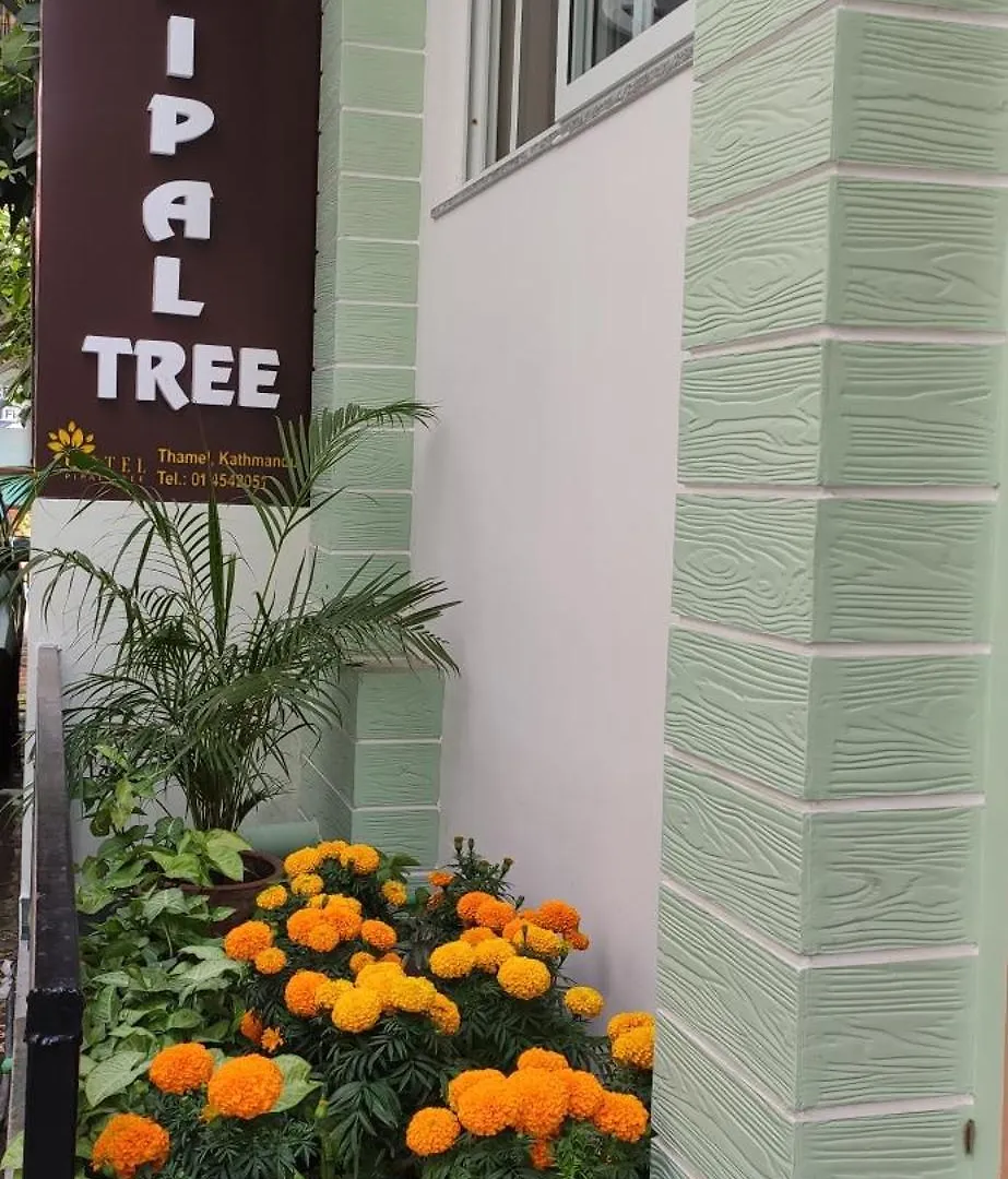 Hotel Pipal Tree Κατμαντού 0*,  Νεπάλ